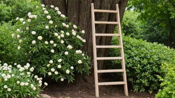 DIY stige, bygge stige, hjemmeforbedring, hageredskaper, sikkerhetstips